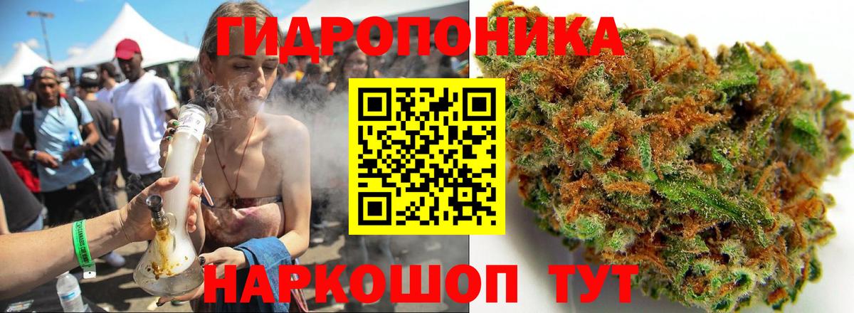 Марихуана сатива  Бошки Шишки Ganja  Бошки марихуана план  Уварово  Вход с VPN 